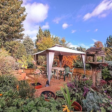The Sandy Studio Flat In Petersham Strawberry Hill Esterno foto